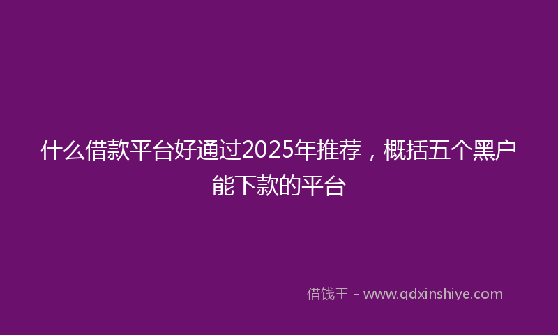 什么借款平台好通过2025年推荐，概括五个黑户能下款的平台