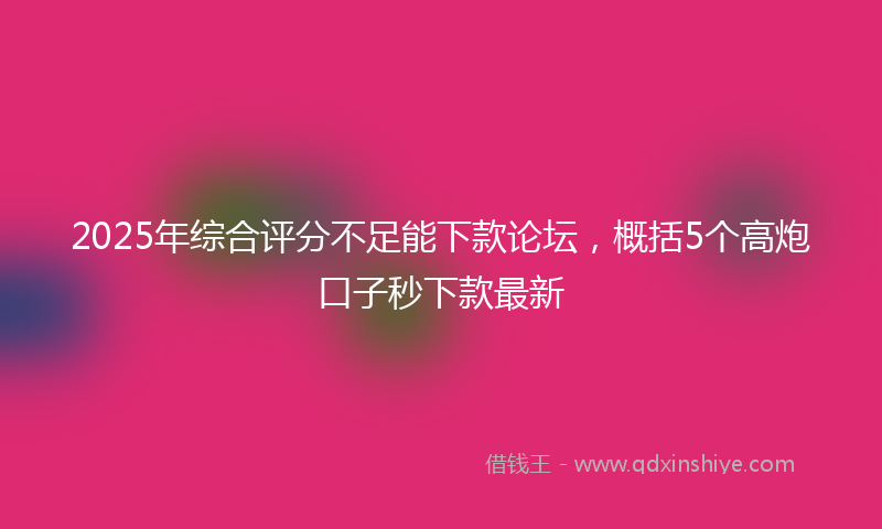 2025年综合评分不足能下款论坛，概括5个高炮口子秒下款最新