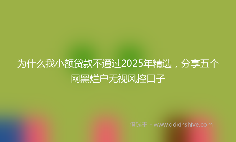 为什么我小额贷款不通过2025年精选，分享五个网黑烂户无视风控口子