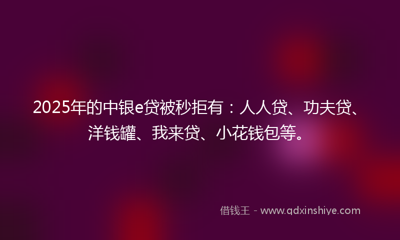 2025年的中银e贷被秒拒有：人人贷、功夫贷、洋钱罐、我来贷、小花钱包等。