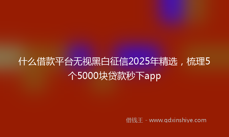 什么借款平台无视黑白征信2025年精选，梳理5个5000块贷款秒下app