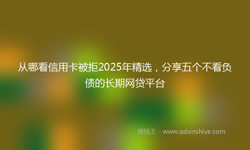 从哪看信用卡被拒2025年精选，分享五个不看负债的长期网贷平台