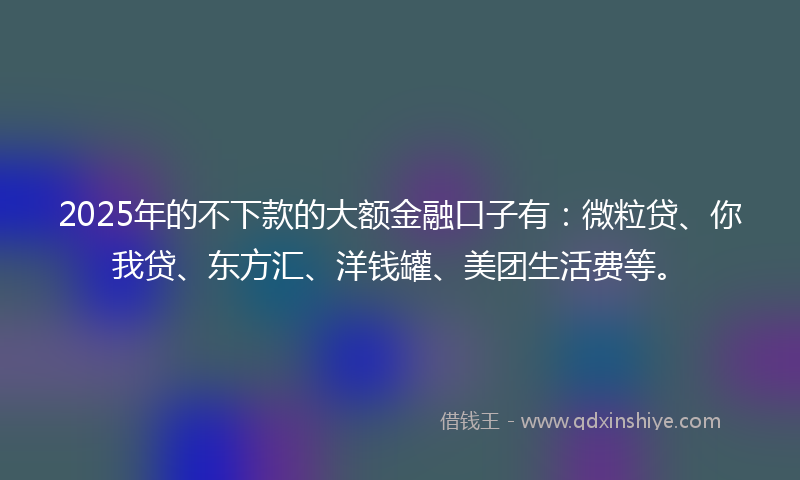 2025年的不下款的大额金融口子有：微粒贷、你我贷、东方汇、洋钱罐、美团生活费等。