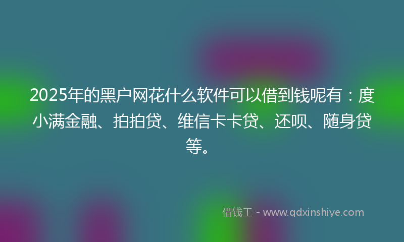 2025年的黑户网花什么软件可以借到钱呢有：度小满金融、拍拍贷、维信卡卡贷、还呗、随身贷等。