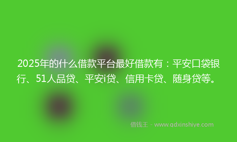 2025年的什么借款平台最好借款有：平安口袋银行、51人品贷、平安i贷、信用卡贷、随身贷等。