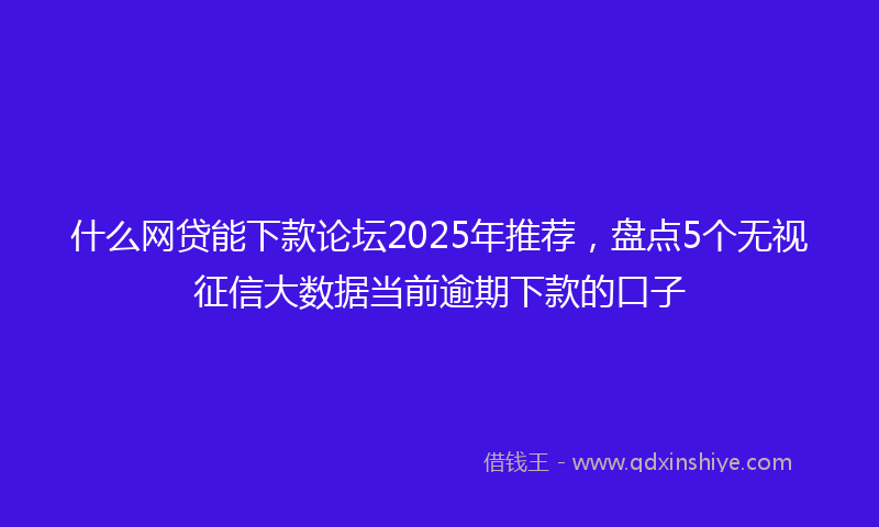 什么网贷能下款论坛2025年推荐，盘点5个无视征信大数据当前逾期下款的口子