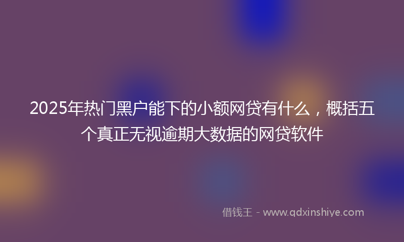 2025年热门黑户能下的小额网贷有什么，概括五个真正无视逾期大数据的网贷软件