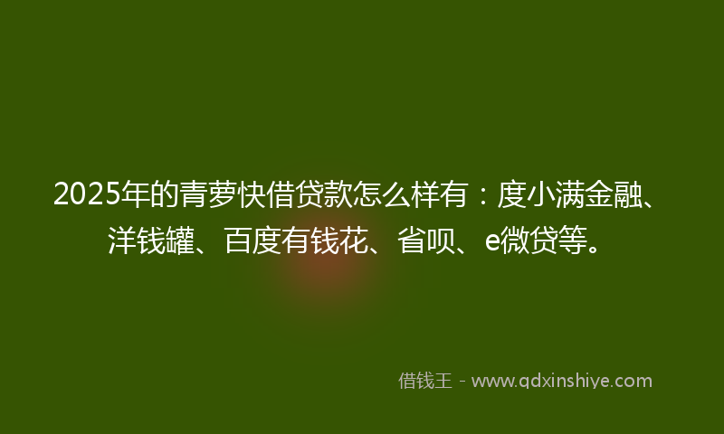 2025年的青萝快借贷款怎么样有：度小满金融、洋钱罐、百度有钱花、省呗、e微贷等。