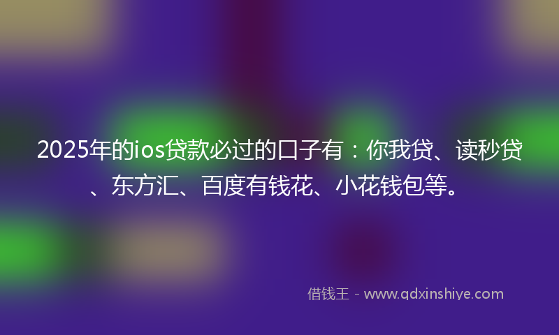 2025年的ios贷款必过的口子有：你我贷、读秒贷、东方汇、百度有钱花、小花钱包等。