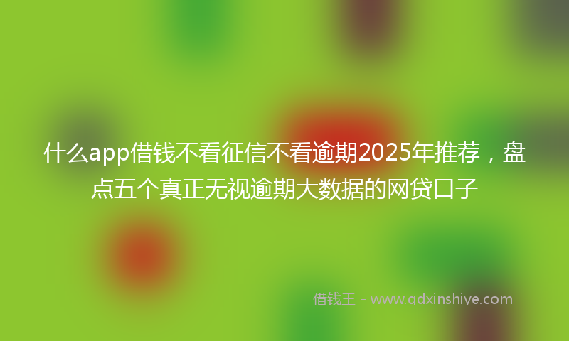 什么app借钱不看征信不看逾期2025年推荐，盘点五个真正无视逾期大数据的网贷口子