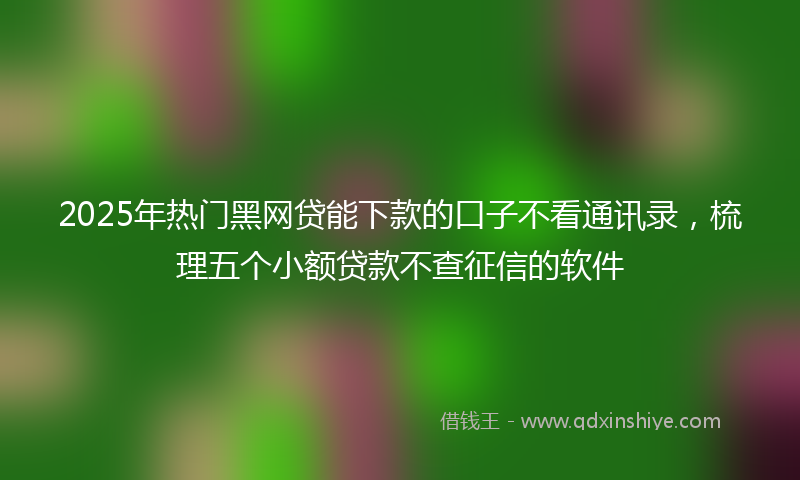 2025年热门黑网贷能下款的口子不看通讯录，梳理五个小额贷款不查征信的软件