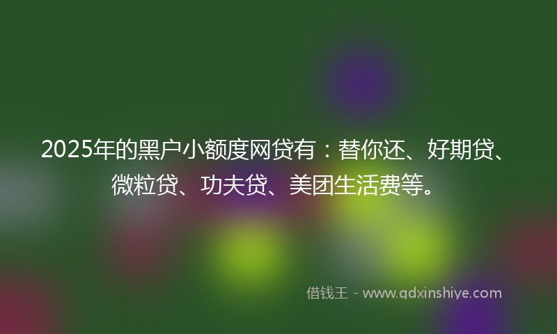 2025年的黑户小额度网贷有：替你还、好期贷、微粒贷、功夫贷、美团生活费等。