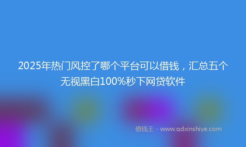 2025年热门风控了哪个平台可以借钱，汇总五个无视黑白100%秒下网贷软件