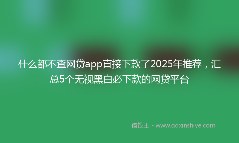 什么都不查网贷app直接下款了2025年推荐，汇总5个无视黑白必下款的网贷平台