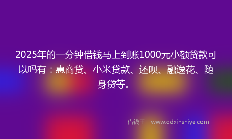 2025年的一分钟借钱马上到账1000元小额贷款可以吗有：惠商贷、小米贷款、还呗、融逸花、随身贷等。