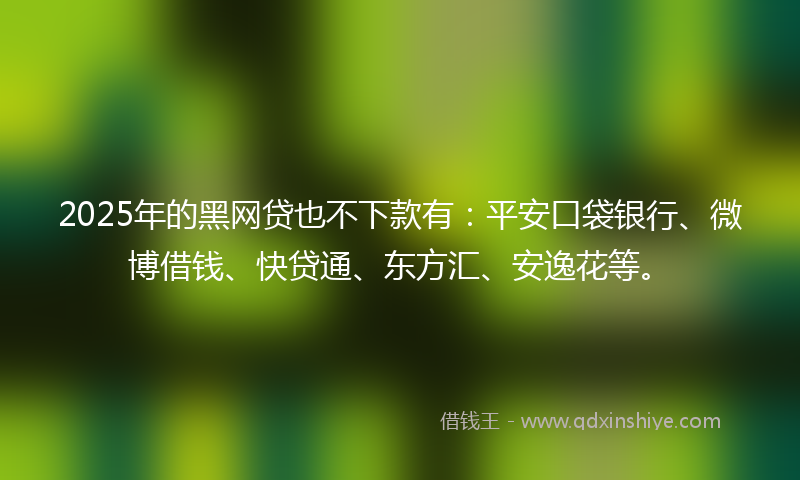 2025年的黑网贷也不下款有：平安口袋银行、微博借钱、快贷通、东方汇、安逸花等。