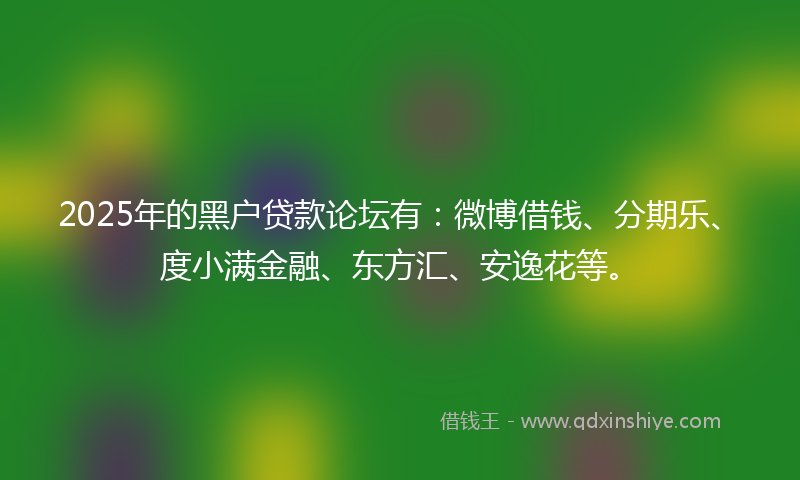 2025年的黑户贷款论坛有：微博借钱、分期乐、度小满金融、东方汇、安逸花等。
