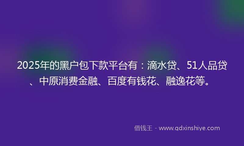 2025年的黑户包下款平台有：滴水贷、51人品贷、中原消费金融、百度有钱花、融逸花等。