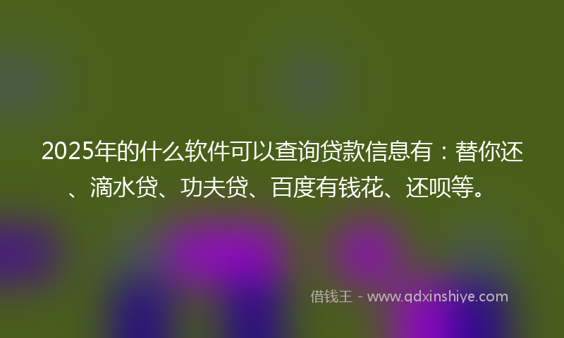 2025年的什么软件可以查询贷款信息有：替你还、滴水贷、功夫贷、百度有钱花、还呗等。