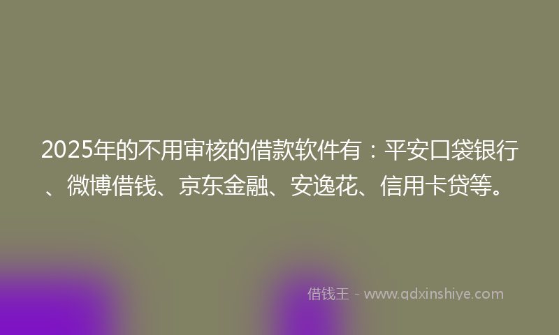 2025年的不用审核的借款软件有：平安口袋银行、微博借钱、京东金融、安逸花、信用卡贷等。