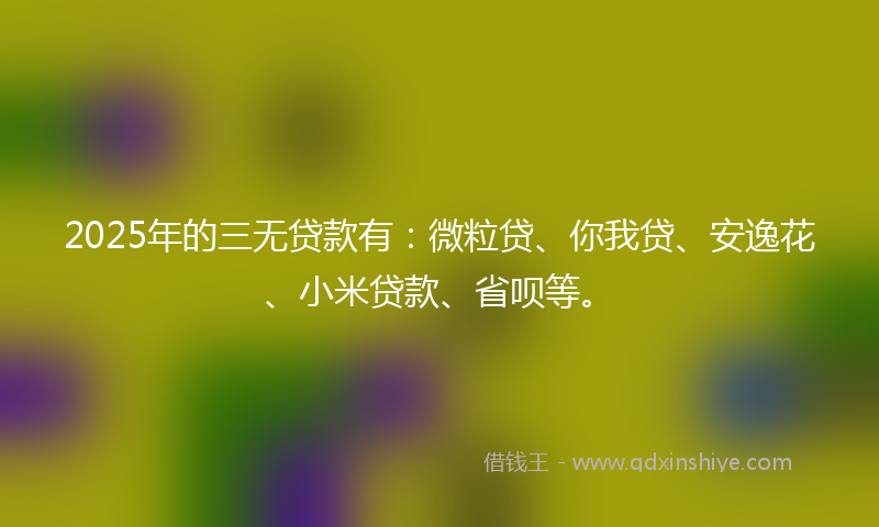 2025年的三无贷款有：微粒贷、你我贷、安逸花、小米贷款、省呗等。