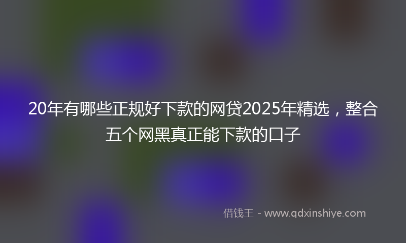 20年有哪些正规好下款的网贷2025年精选，整合五个网黑真正能下款的口子