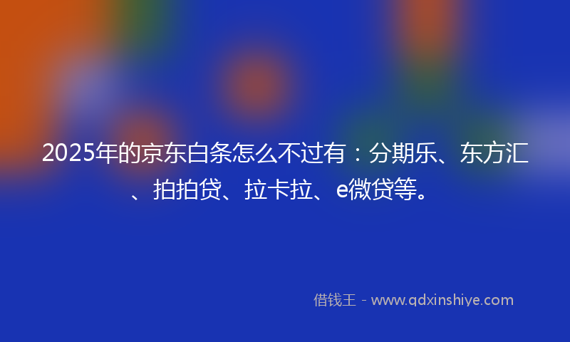 2025年的京东白条怎么不过有：分期乐、东方汇、拍拍贷、拉卡拉、e微贷等。