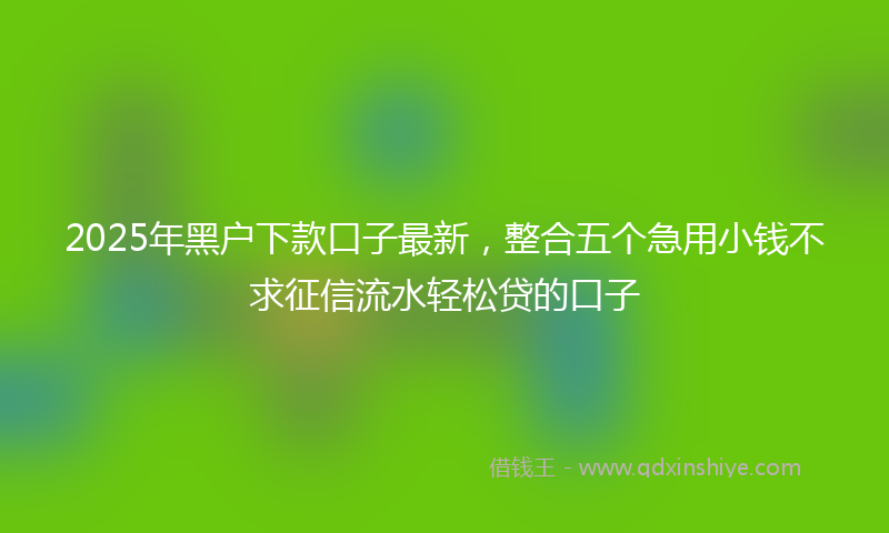 2025年黑户下款口子最新，整合五个急用小钱不求征信流水轻松贷的口子