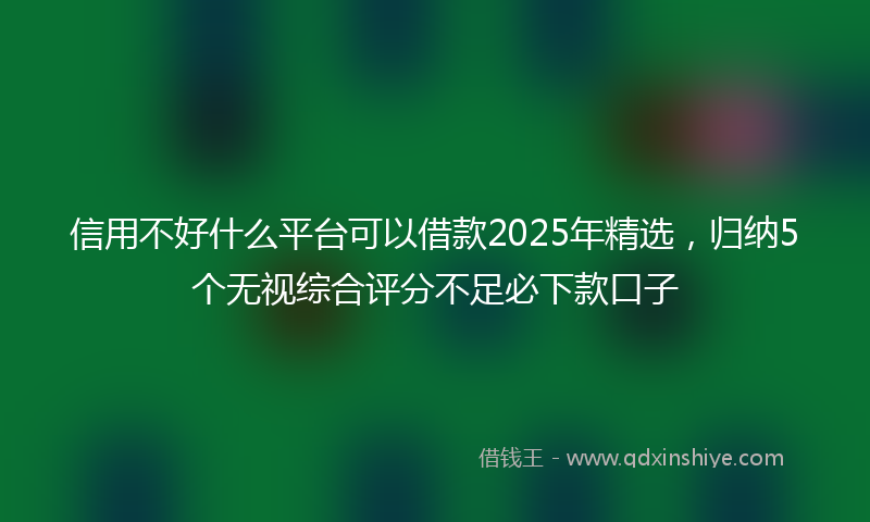 信用不好什么平台可以借款2025年精选，归纳5个无视综合评分不足必下款口子