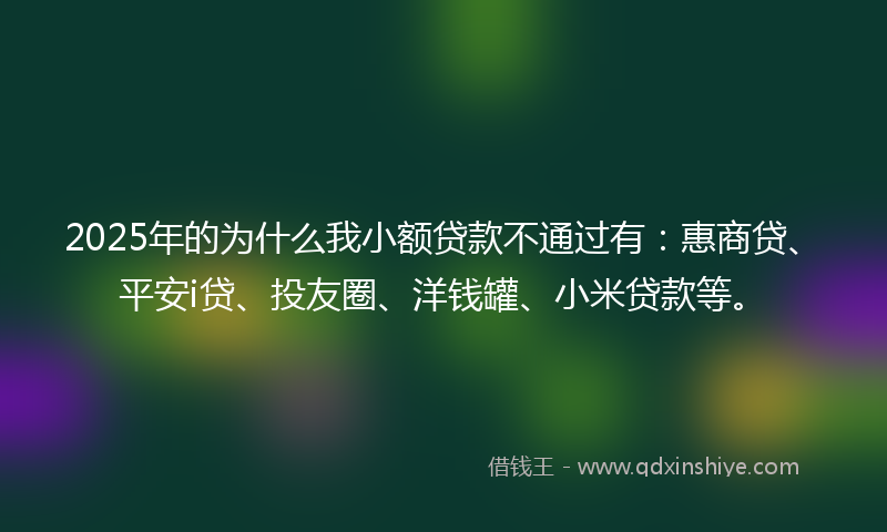 2025年的为什么我小额贷款不通过有：惠商贷、平安i贷、投友圈、洋钱罐、小米贷款等。