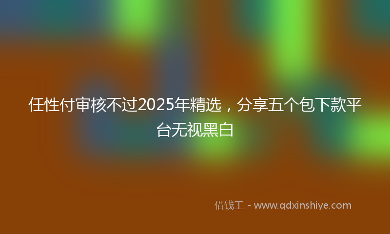 任性付审核不过2025年精选，分享五个包下款平台无视黑白