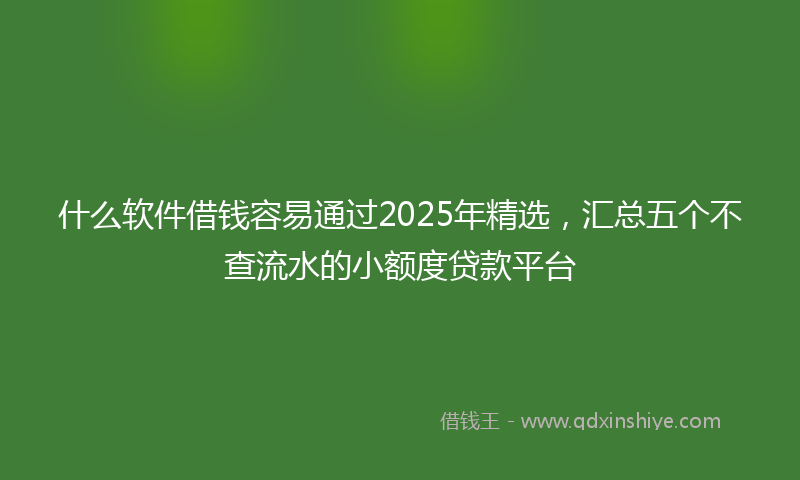 什么软件借钱容易通过2025年精选，汇总五个不查流水的小额度贷款平台