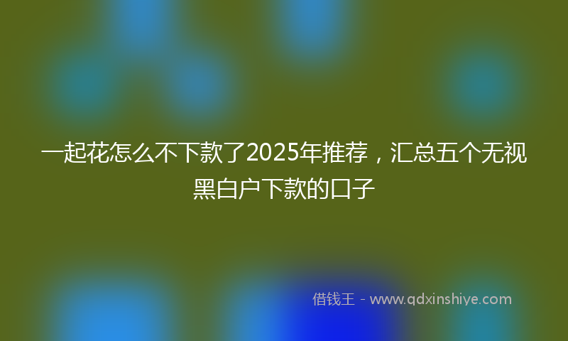 一起花怎么不下款了2025年推荐，汇总五个无视黑白户下款的口子