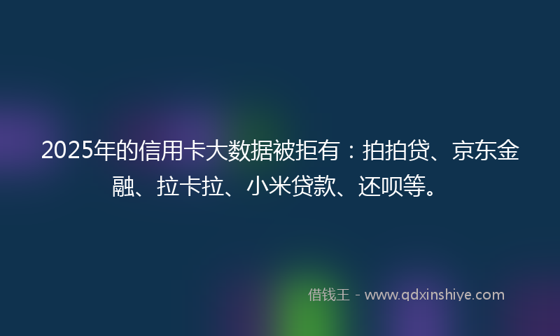 2025年的信用卡大数据被拒有：拍拍贷、京东金融、拉卡拉、小米贷款、还呗等。