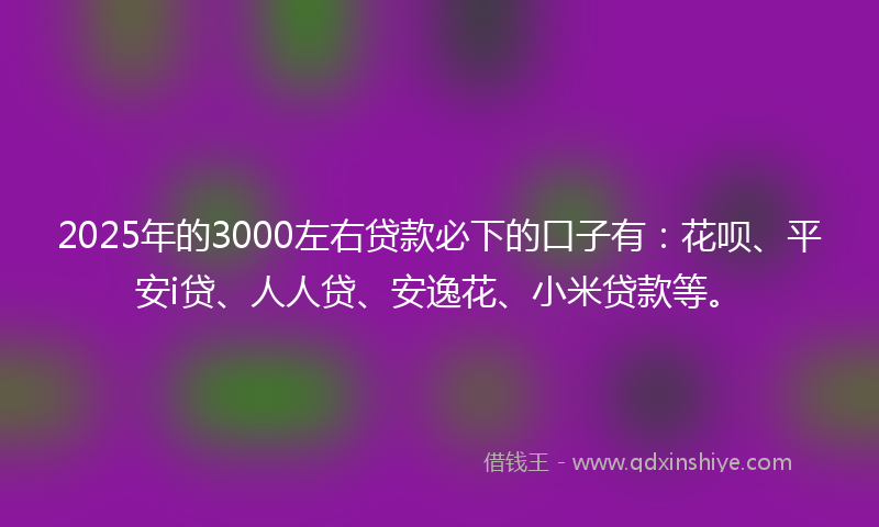 2025年的3000左右贷款必下的口子有：花呗、平安i贷、人人贷、安逸花、小米贷款等。
