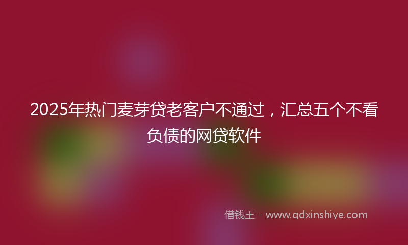 2025年热门麦芽贷老客户不通过，汇总五个不看负债的网贷软件