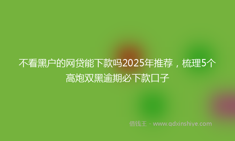 不看黑户的网贷能下款吗2025年推荐，梳理5个高炮双黑逾期必下款口子