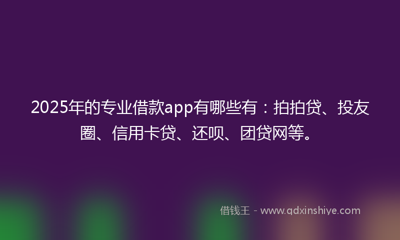 2025年的专业借款app有哪些有：拍拍贷、投友圈、信用卡贷、还呗、团贷网等。