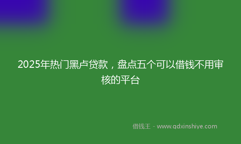 2025年热门黑卢贷款，盘点五个可以借钱不用审核的平台