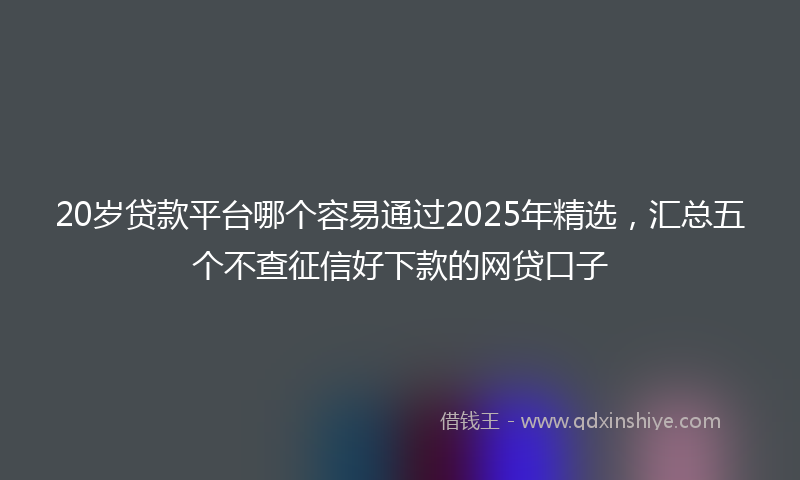 20岁贷款平台哪个容易通过2025年精选，汇总五个不查征信好下款的网贷口子
