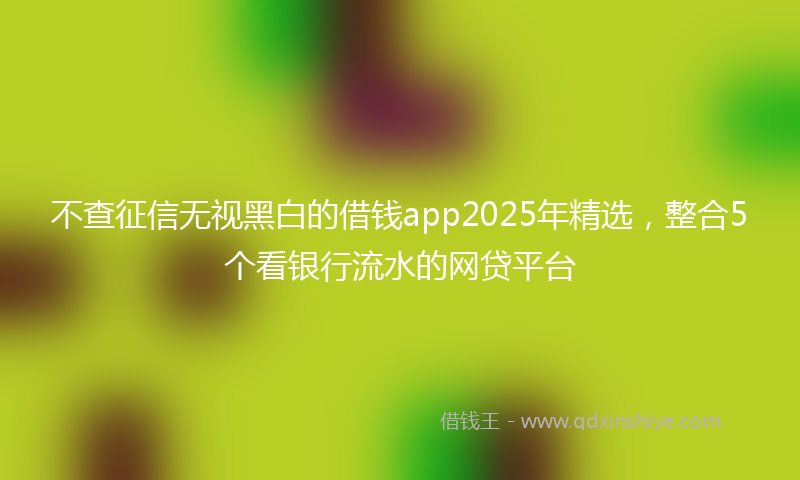 不查征信无视黑白的借钱app2025年精选，整合5个看银行流水的网贷平台