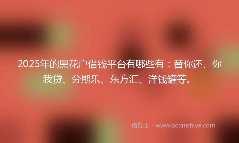 2025年的黑花户借钱平台有哪些有：替你还、你我贷、分期乐、东方汇、洋钱罐等。