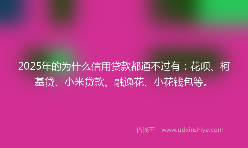 2025年的为什么信用贷款都通不过有：花呗、柯基贷、小米贷款、融逸花、小花钱包等。