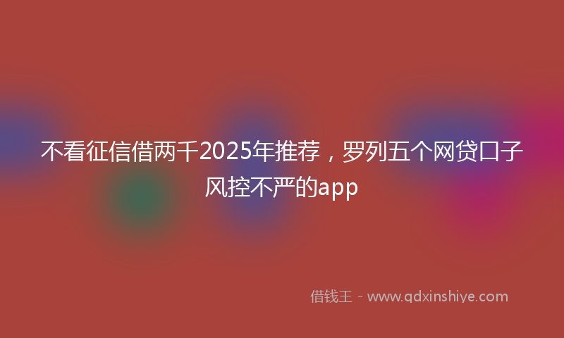 不看征信借两千2025年推荐，罗列五个网贷口子风控不严的app