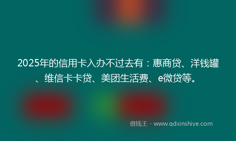 2025年的信用卡入办不过去有：惠商贷、洋钱罐、维信卡卡贷、美团生活费、e微贷等。
