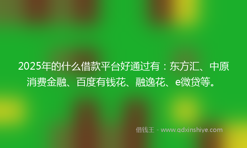 2025年的什么借款平台好通过有：东方汇、中原消费金融、百度有钱花、融逸花、e微贷等。