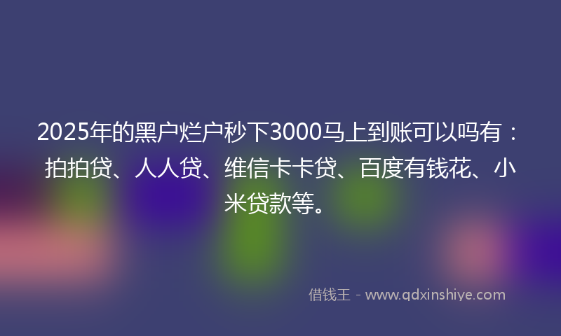 2025年的黑户烂户秒下3000马上到账可以吗有：拍拍贷、人人贷、维信卡卡贷、百度有钱花、小米贷款等。