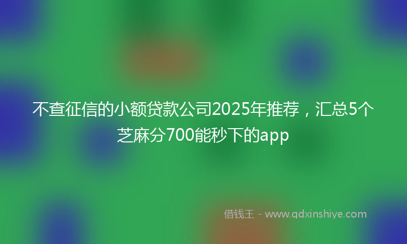 不查征信的小额贷款公司2025年推荐，汇总5个芝麻分700能秒下的app