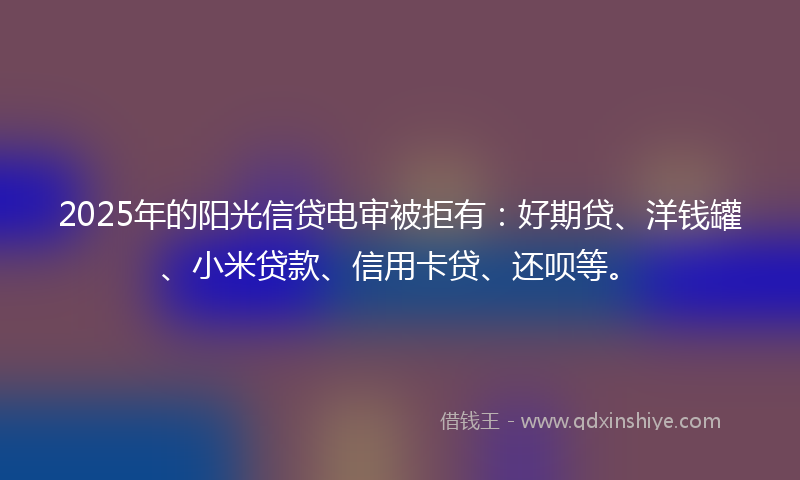 2025年的阳光信贷电审被拒有：好期贷、洋钱罐、小米贷款、信用卡贷、还呗等。