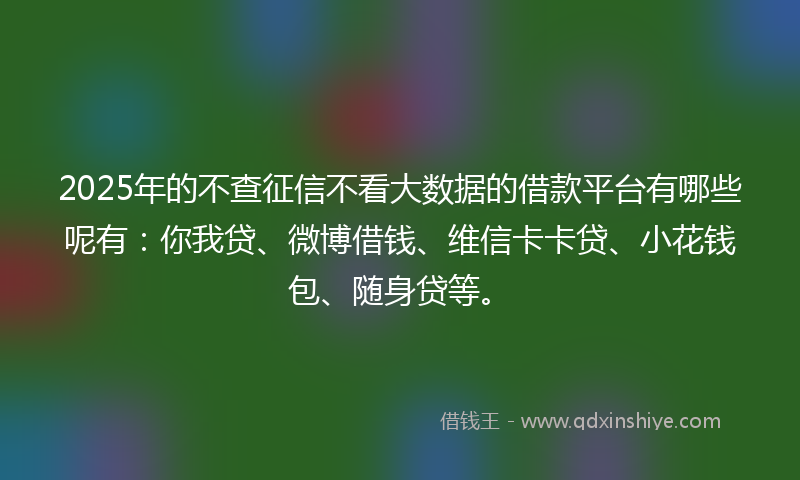 2025年的不查征信不看大数据的借款平台有哪些呢有：你我贷、微博借钱、维信卡卡贷、小花钱包、随身贷等。